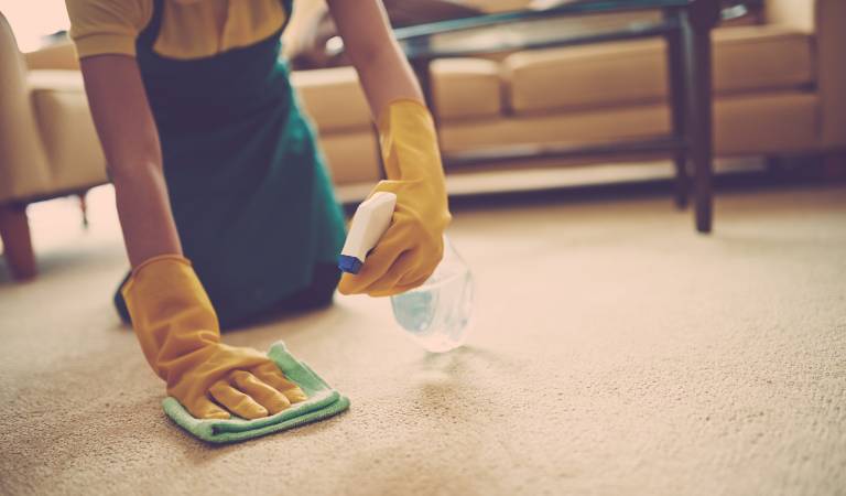 Man holding bottle in his hand removing stain from carpet