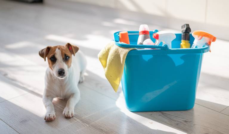 A dog is sitting on the floor with a blue basket filled with tools, bottles and supplies.