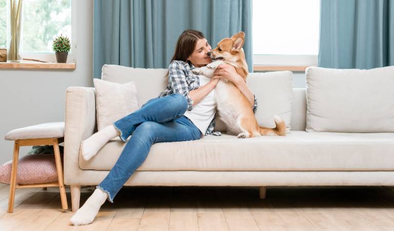 Woman in check shirt and blue jeans playing with her pet dog on sofa