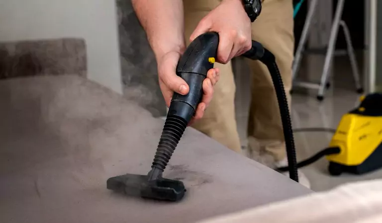 cropped picture of a person cleaning the mattress