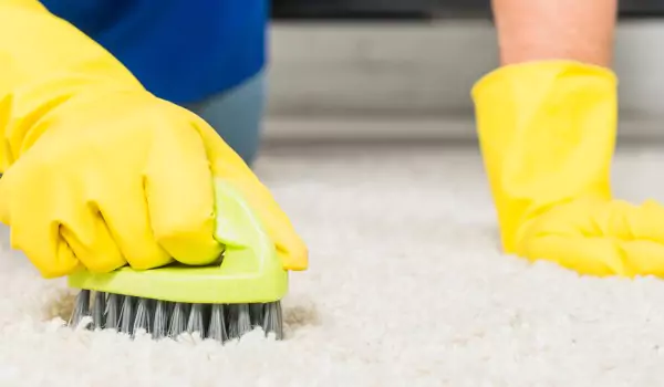 cropped picture of a person cleaning a carpet