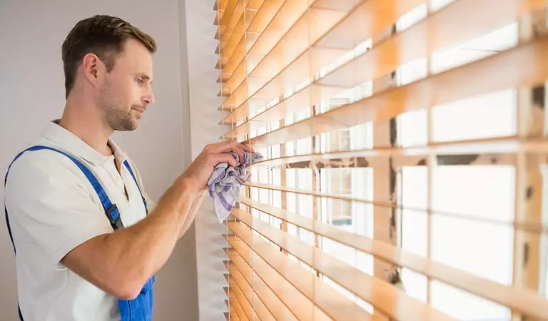 young professional cleaning the window blinds