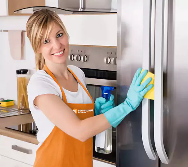 Professional Meticulous Oven And BBQ Cleaning