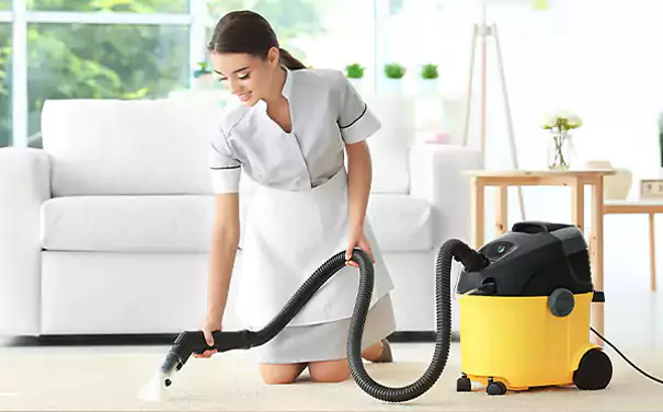 Rejuvenating Carpet Cleaning