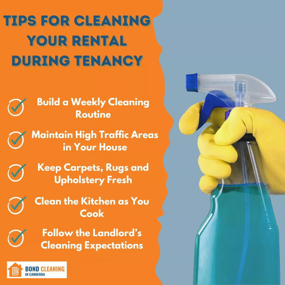 Tips for Cleaning Your Rental During Tenancy