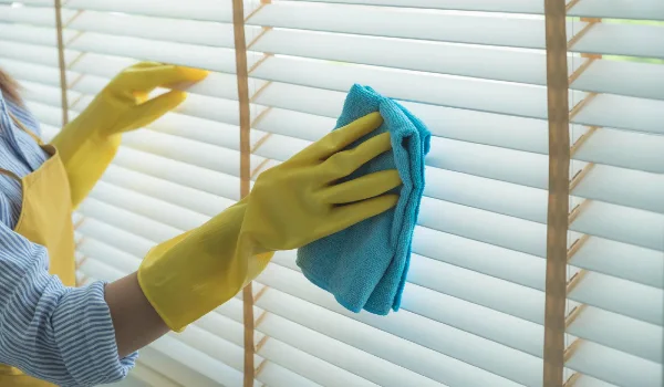 Midsection of woman cleaning window blinds at home