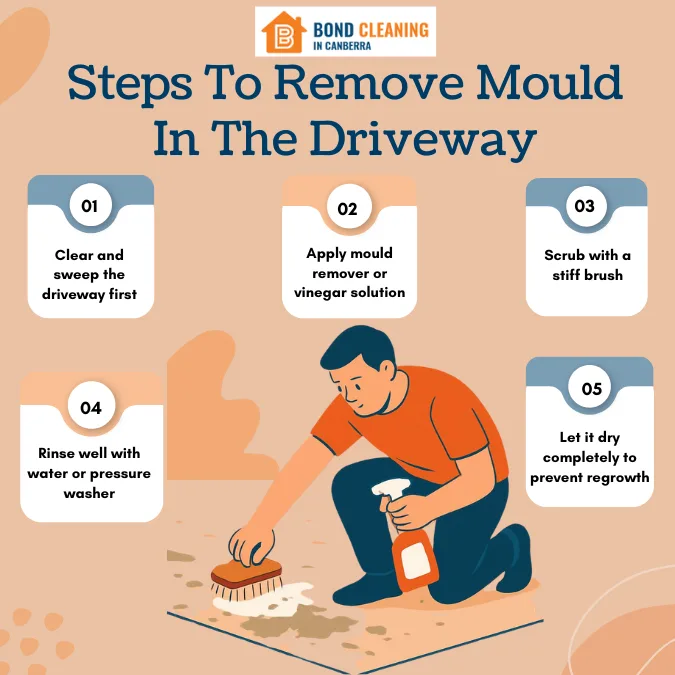 Steps To Remove Mould In The Driveway