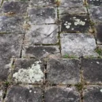 home patio driveway pavving slabs with sprouted grass between it