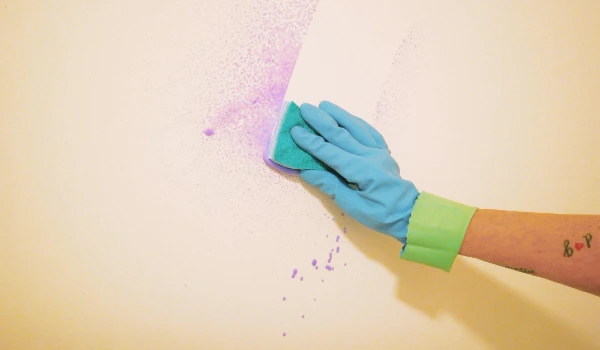 Cropped hand of woman cleaning colour on wall
